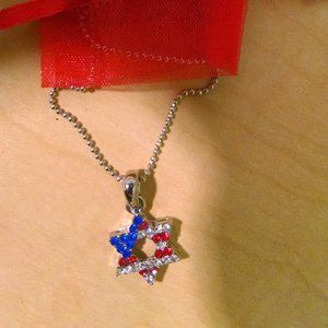 JEWISH STAR American Flag Design